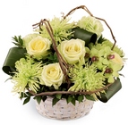 /images/ftd09white/C10-4149^1lg.jpg Basket of Dreams Arrangement